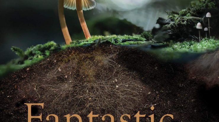 Film Dokumenter Fantastic Fungi : Indah Banget